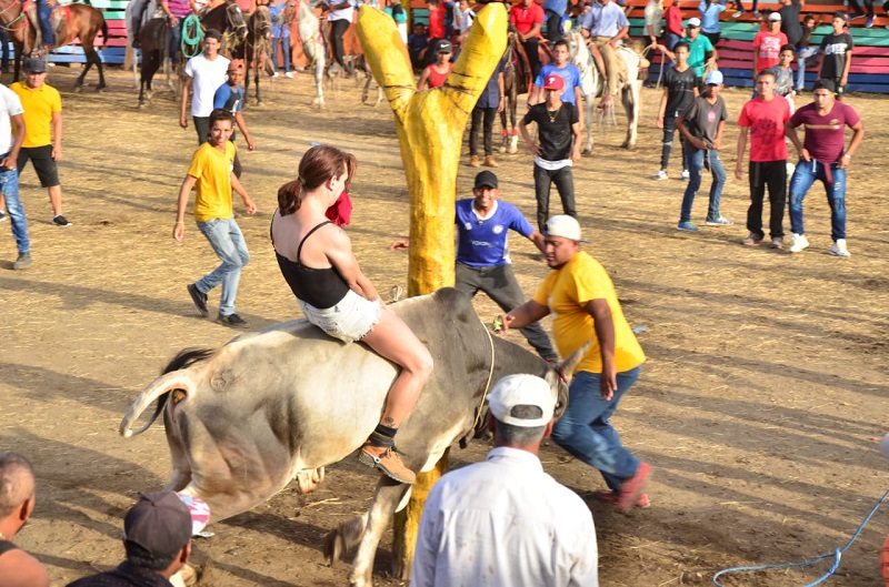 Una dama jinetea al toro durante la monta taurina
