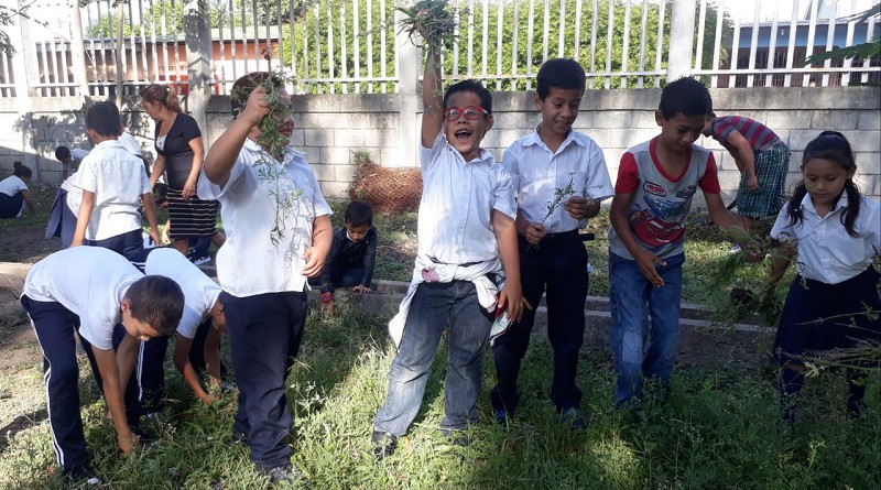 Escolares de Estelí en labores de limpieza y reforestación