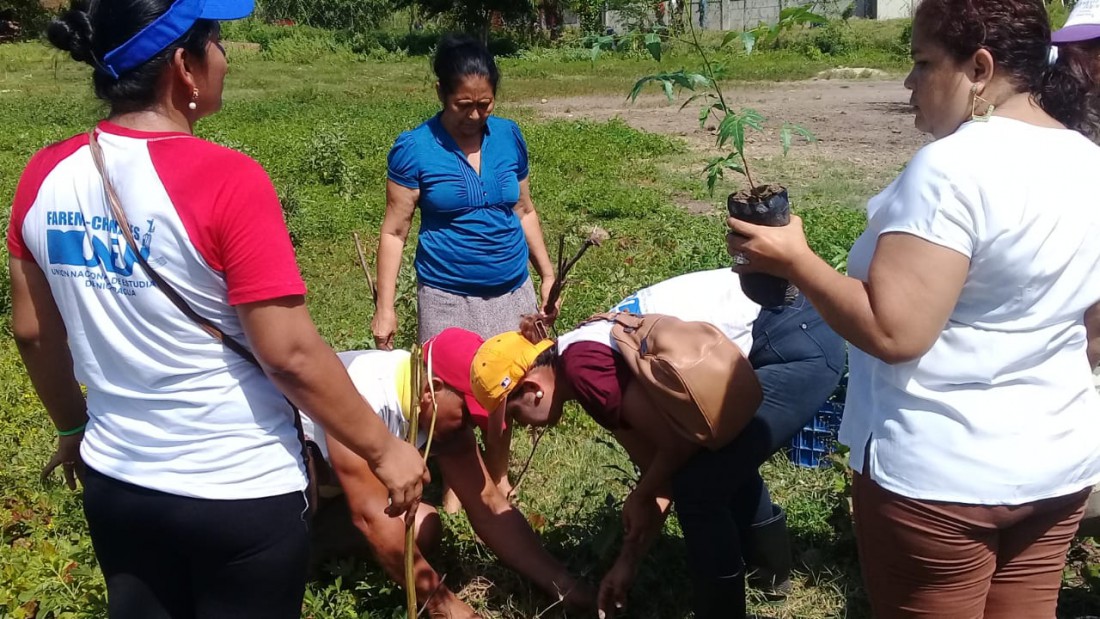En Juigalpa, comunidad el barrio Nuevo amanecer con trabajadores de la alcaldía reforestan el parque