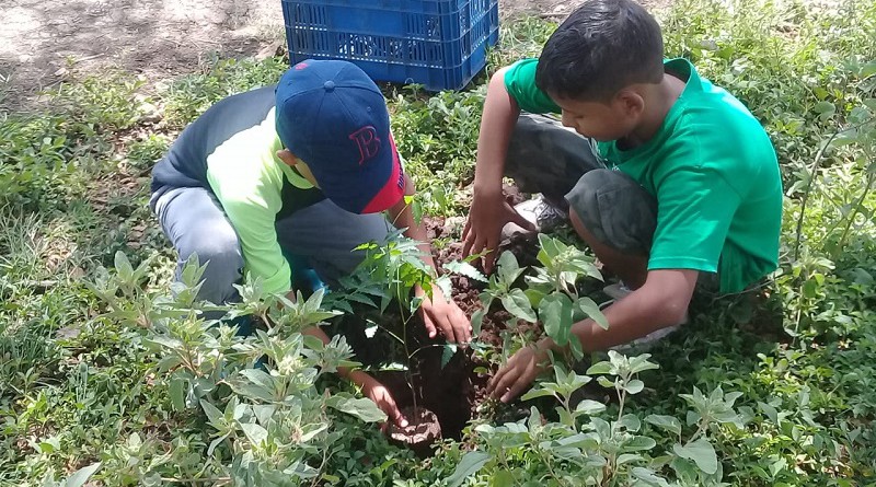 Reforestación impulsada por el gobierno local  de Juigalpa en el parque Nuevo Amanecer en el que tiene alta participación la comunidad