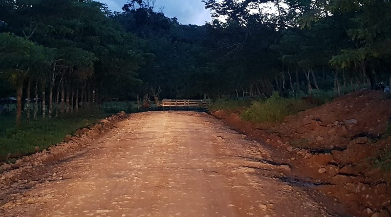 La Libertad:Mejoramiento de 16 kilómetros de caminos rurales productivos en las comunidades de Palmira II y Cuscua. Inversión: C$ 900,000.00.
