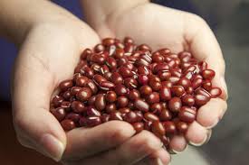 Se pretende crear 150 nuevos bancos de semilla para proveer a los productores con granos de calidad.