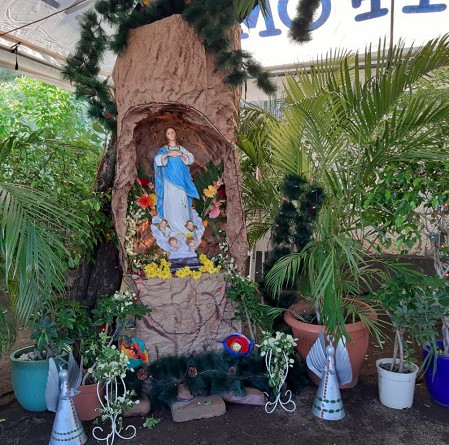 Un rústico árbol similar al frondoso roble, donde misioneros escondieron a la Virgen para protegerla durante su misión evangelizadora en 1592 en las faldas del Cerro de la Silla en Monterrey, Mexico