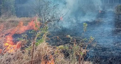 Incendio en predios de Ina provocado por cazadores furitivos
