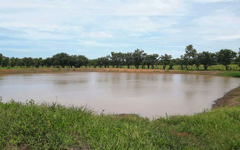 Cosecha de agua en Somotillo  para  la agricultura en las comunidades Los Balcones y El Caimito