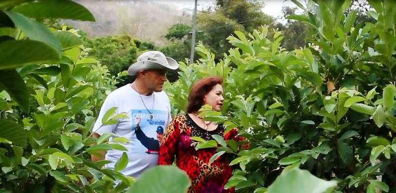 Martha Mairena y Michael Huska, supervisan su plantío sembrado de guayabas