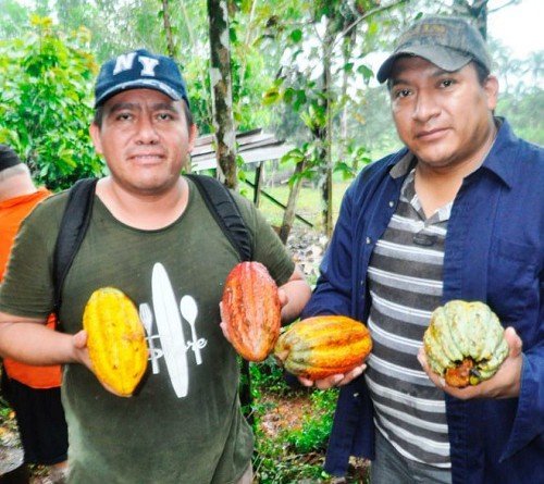El Castillo: Recorrido de promoción turística, Ruta del Cacao