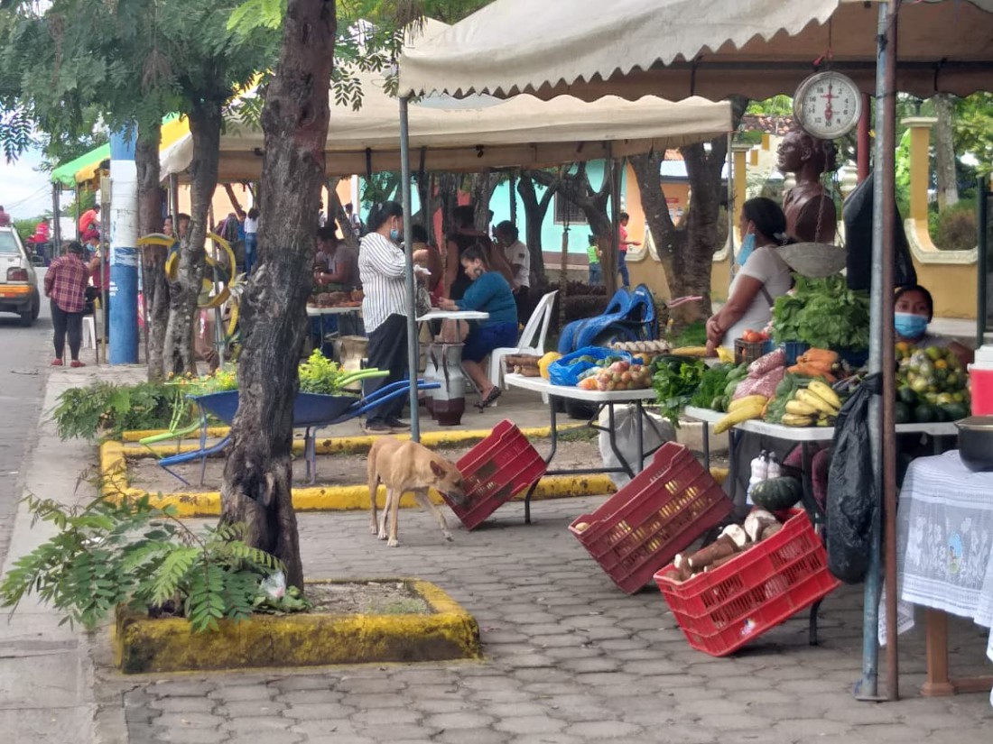 El festival de sabores en Palacaguina se combinó  con la oferta de productos varios