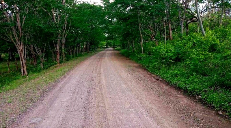 Larreynaga: Mejoras en 6.5 kilómetros de caminos en comunidad Las Trozas.