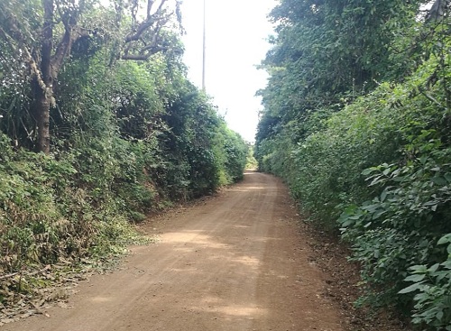 La alcaldía de San Rafael del Sur rehabilitó diez kilómetros de camino en los sectores rurales San Cristóbal y San José De La Montaña.