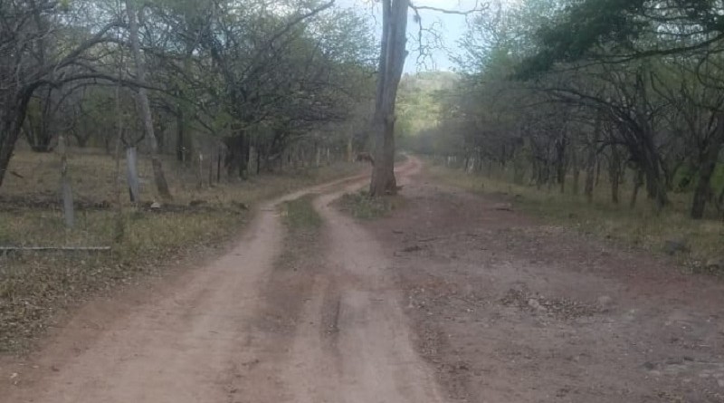 En Acoyapa el gobierno local restauró 7.5 kilómetros de la comunidad San Pablo.