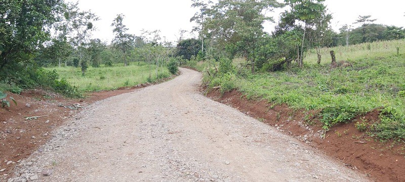 Camino que conduce a las  comunidades Palmitas y Piedra Fina,  en Nueva Guinea.