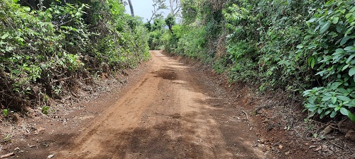 Chichigalpa: Un kilómetro en la zona rural  Versalles