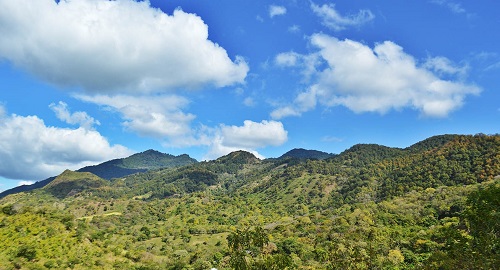La Reserva Natural Tepesomoto La Patasta pone en contacto con bosques de robles y otras especies de flora y fauna del sitio.