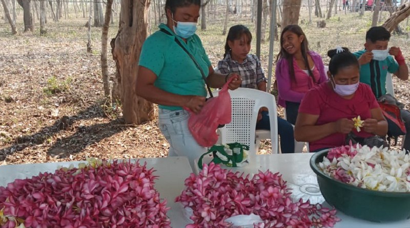 Manos creativas hacen inmensas y coloridas  sartas  de sacuanjoche, La Flor de Mayo, en la comunidad Sabanagrande, Totogalpa